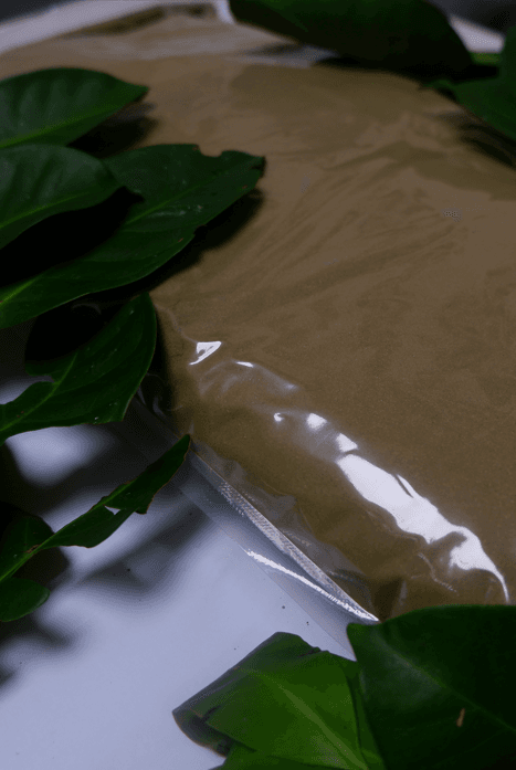 Bay Leaf Powder-sub-0